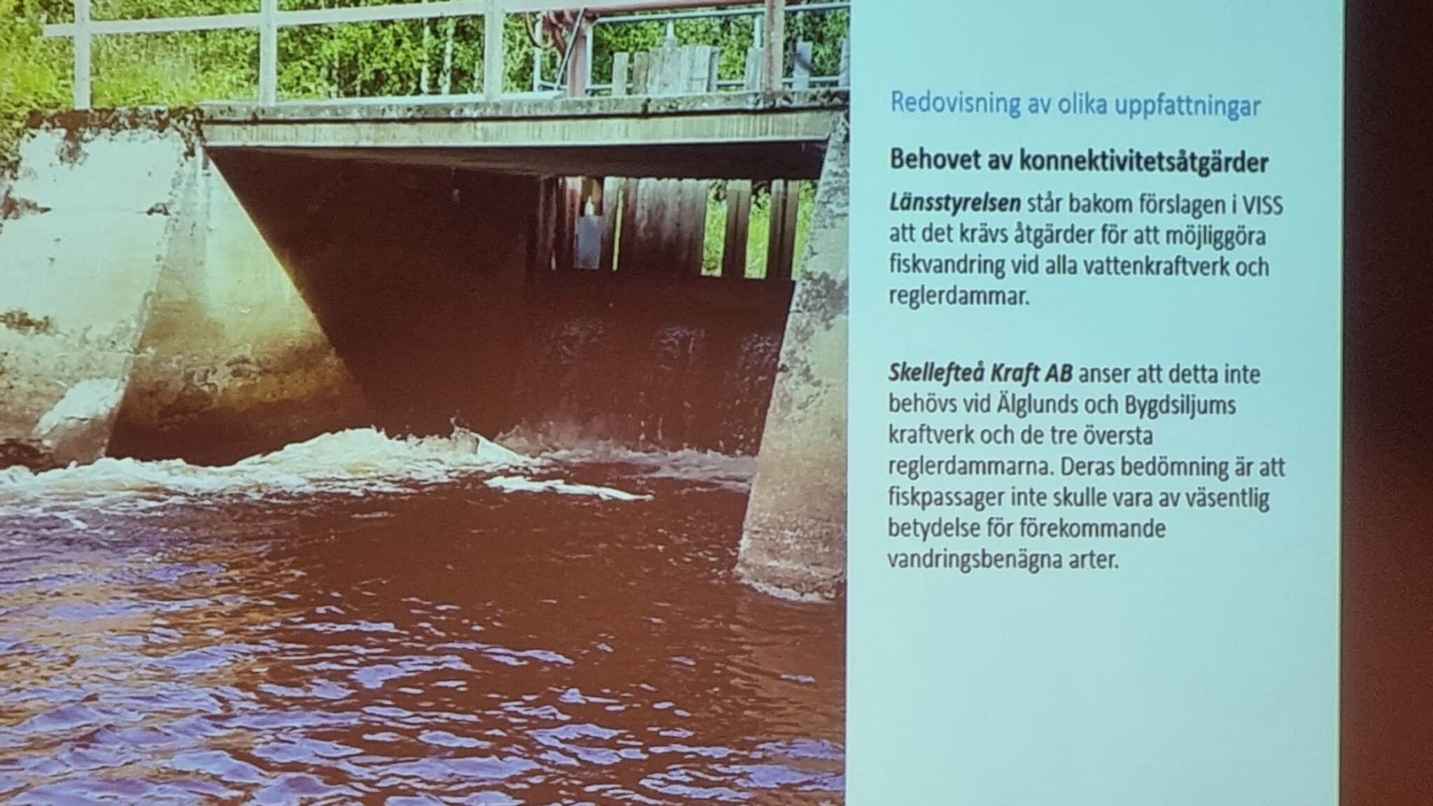 Älvräddarna deltog på NAP seminarium i Lycksele 12/10