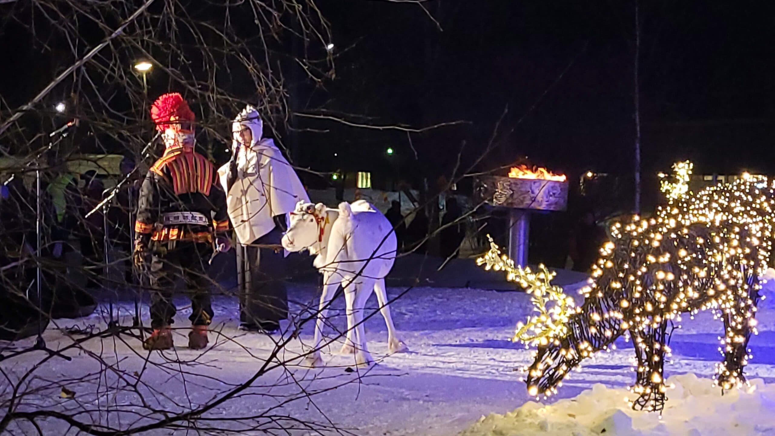 Älvräddarna + Luleälvens Vattenråd på Jokkmokks marknad
