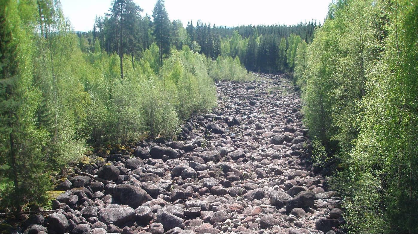 Näringslivet och ”Pauspartierna” har fel