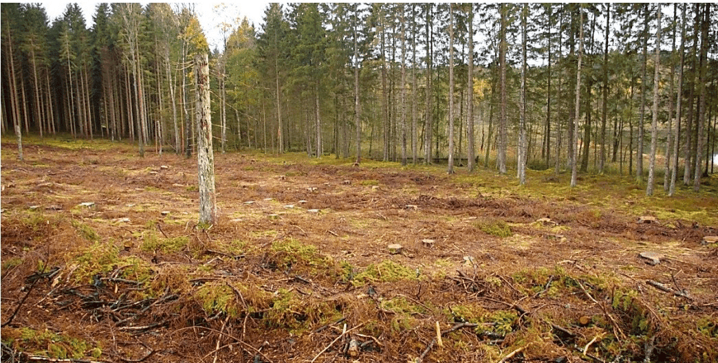 Skogsstyrelsen & vattendirektivet