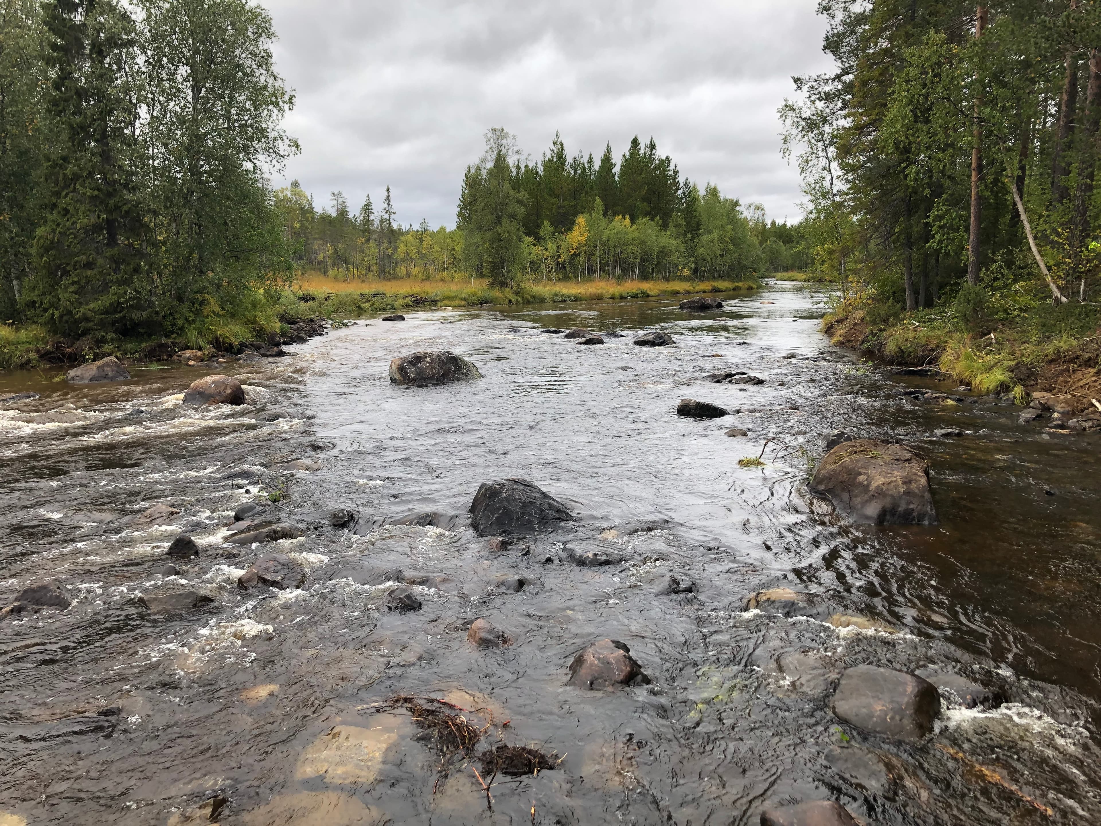 Återställd sträcka Åbyälven
