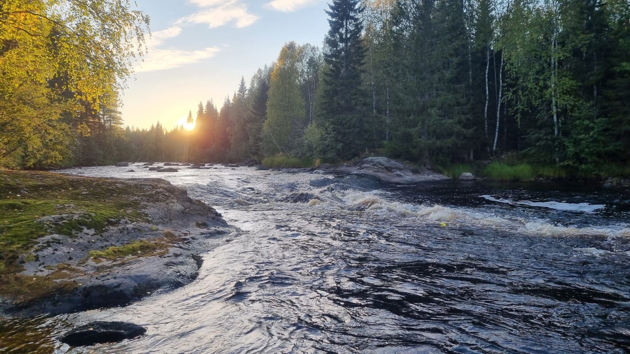 Årsmöte för verksamhetsåret 2022