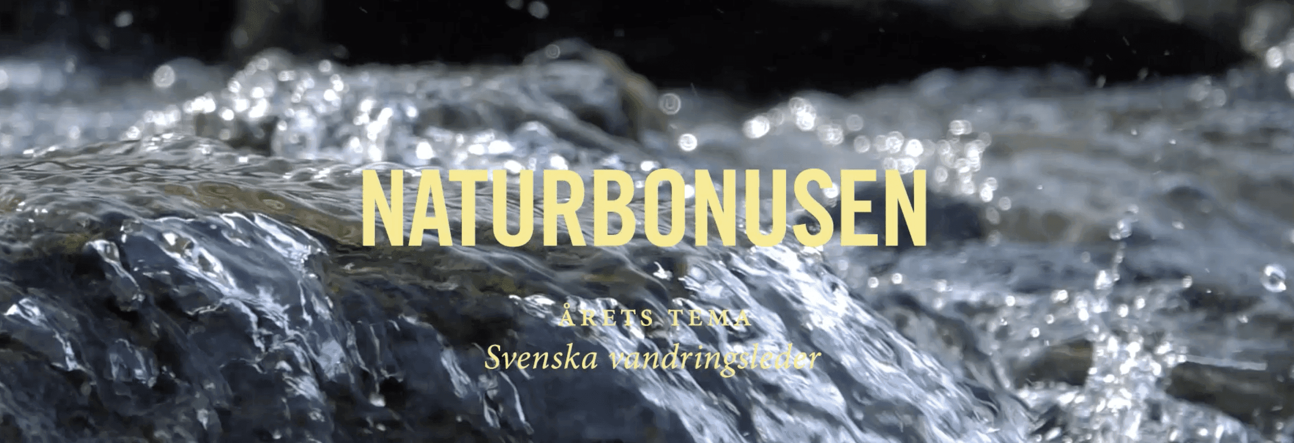 Ansökan öppen till Naturbonusen – tema 2024: Svenska vandringsleder