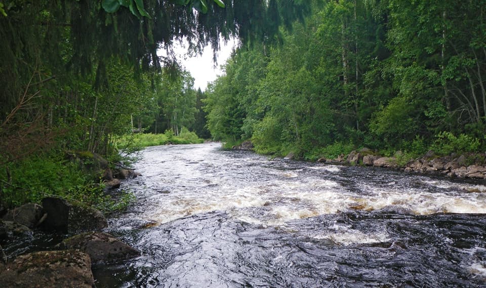Nu är det dags för ny lag!