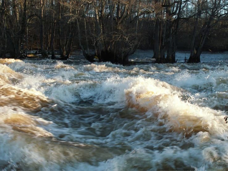 Krönika i november, ”mer regn att vänta”