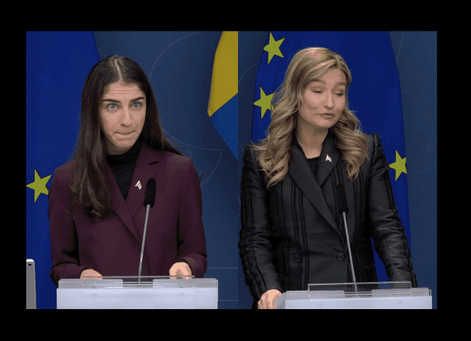 Regeringen okunnig om elsystemet