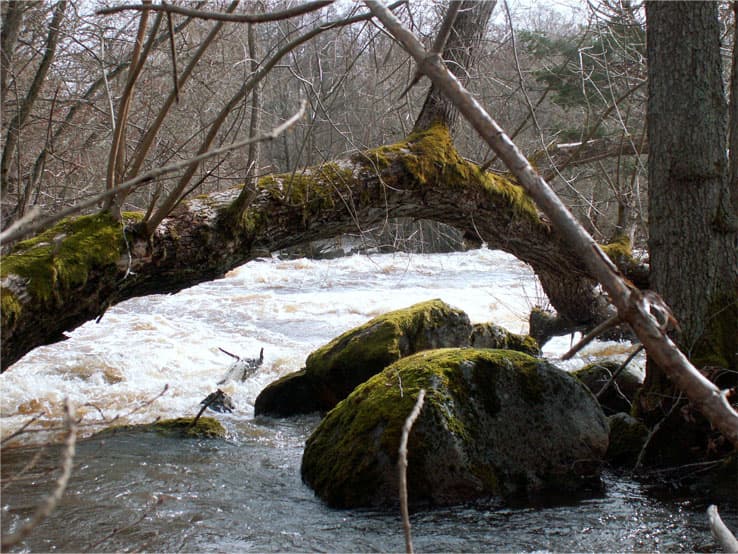 Krönika i tidig mars 2012