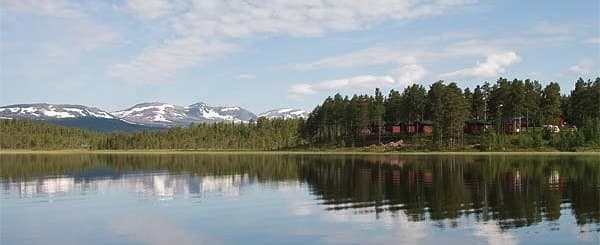 Krönika i hänryckningens tid