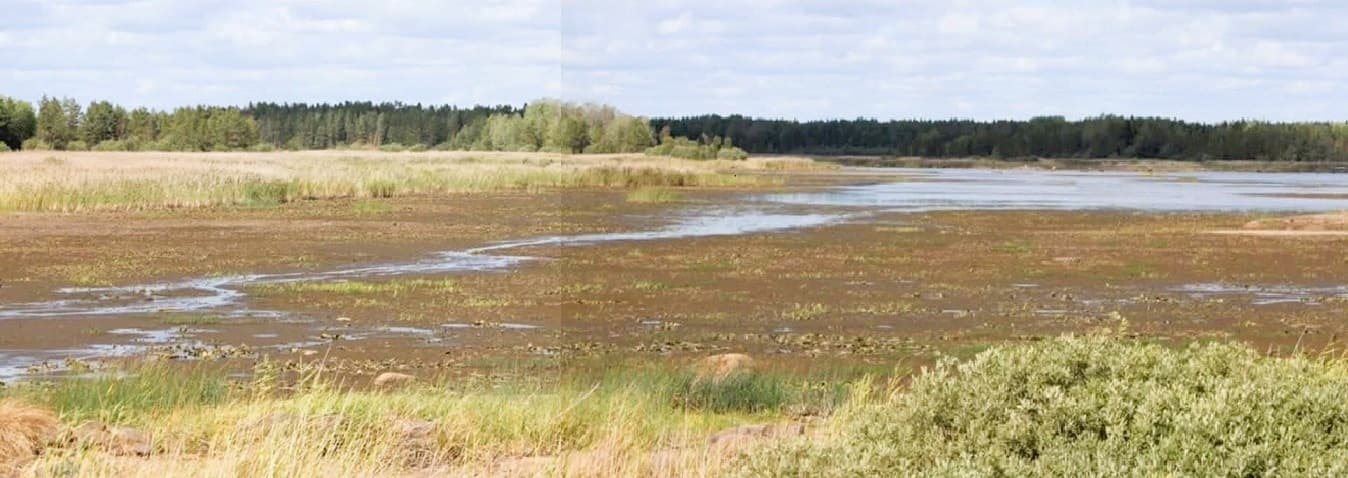 Debaclet med Yxern – ny unik vändning!