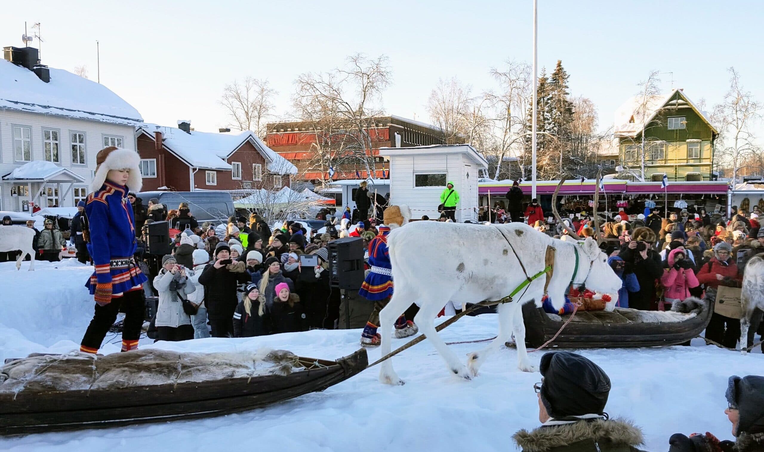 Älvräddarna till Jokkmokks marknad