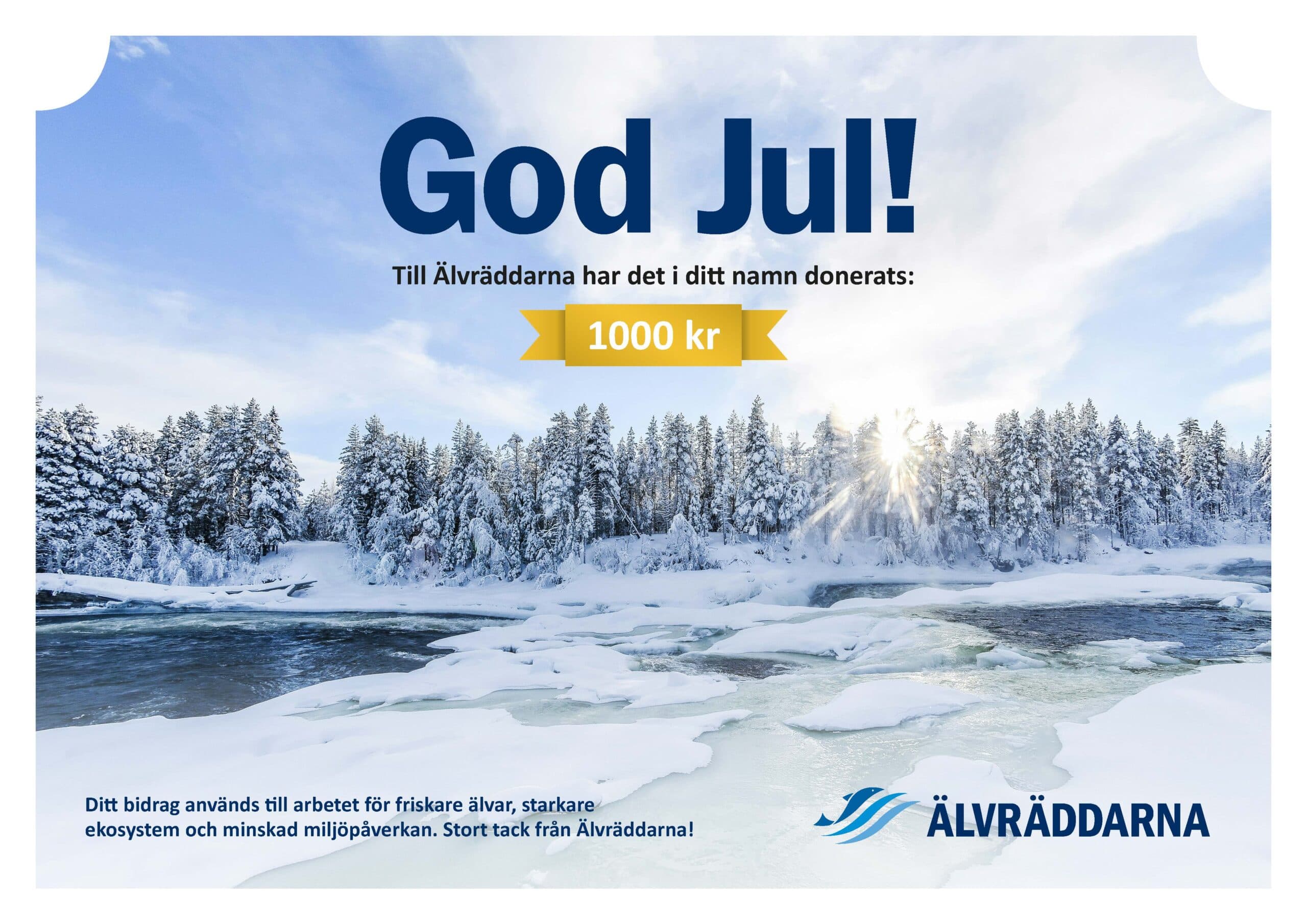 Skänk jul- eller nyårsgåva 🎄💧