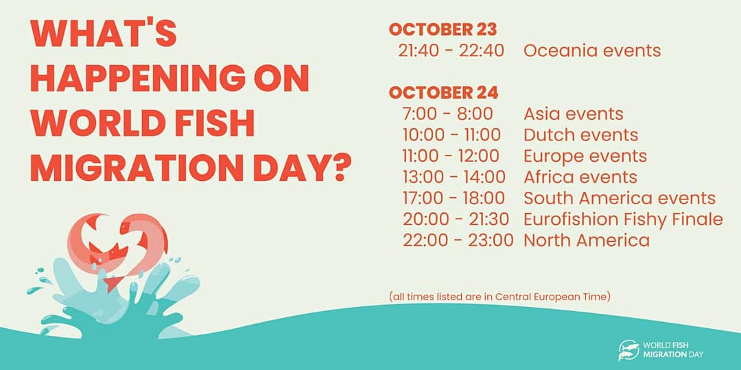 world fish migration day lördag 24 oktober