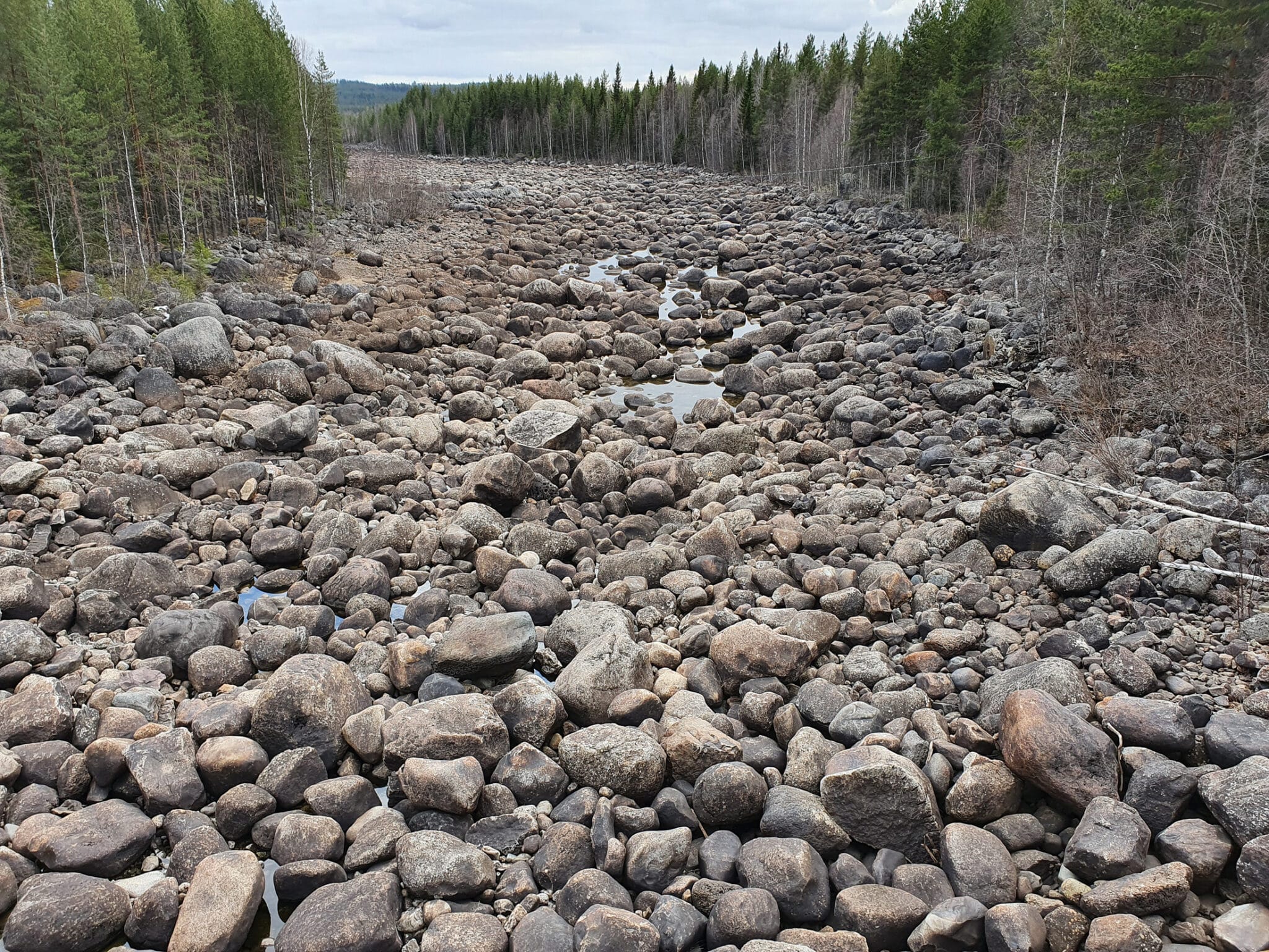 Vattenfall säger sig vilja förnya och bygga nya vattenkraftverk i Ume- och Luleälvarna