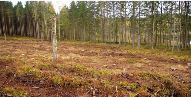 Skogsstyrelsen & vattendirektivet