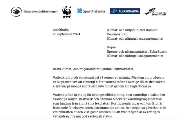 Öppet brev till Romina från miljöorganisationerna om vattenkraft