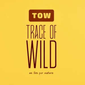 Logotyp, Trace of Wild