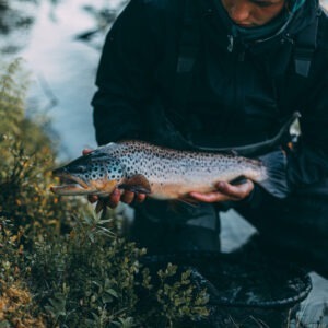 Fiskare håller nyfångad fisk