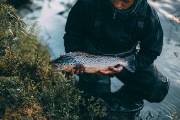 Fiskare håller nyfångad fisk