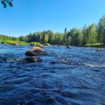 Älvräddarnas årsmöte 2025-06-11