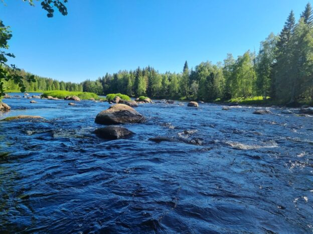 Rickleån nedströms kryddgårsforsen-Jari Toivanen