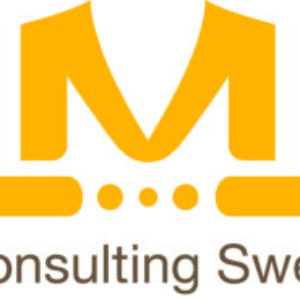 Profilbild av DMD-Consulting Sweden AB